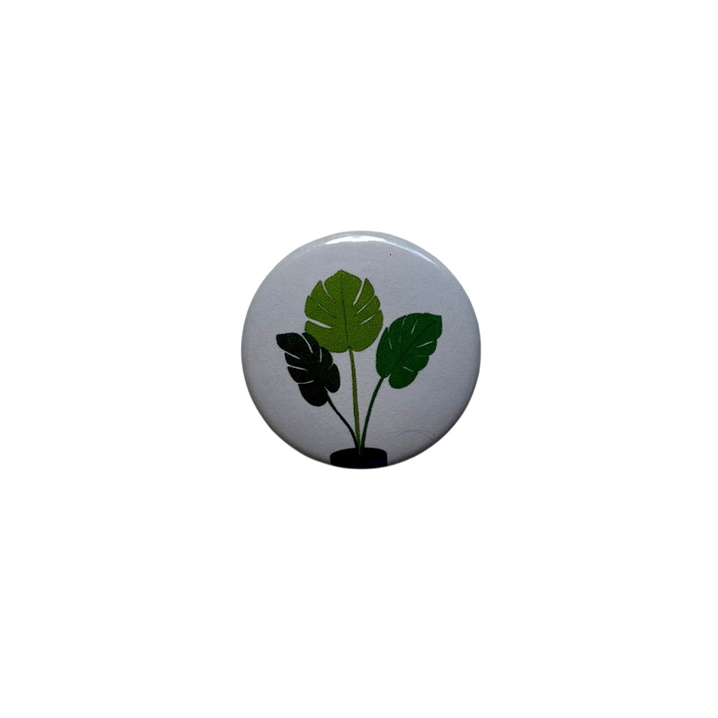 Plants / Buttons