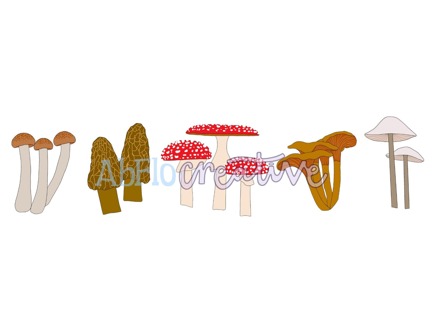 Wild Mushrooms / DIGITAL PRINT