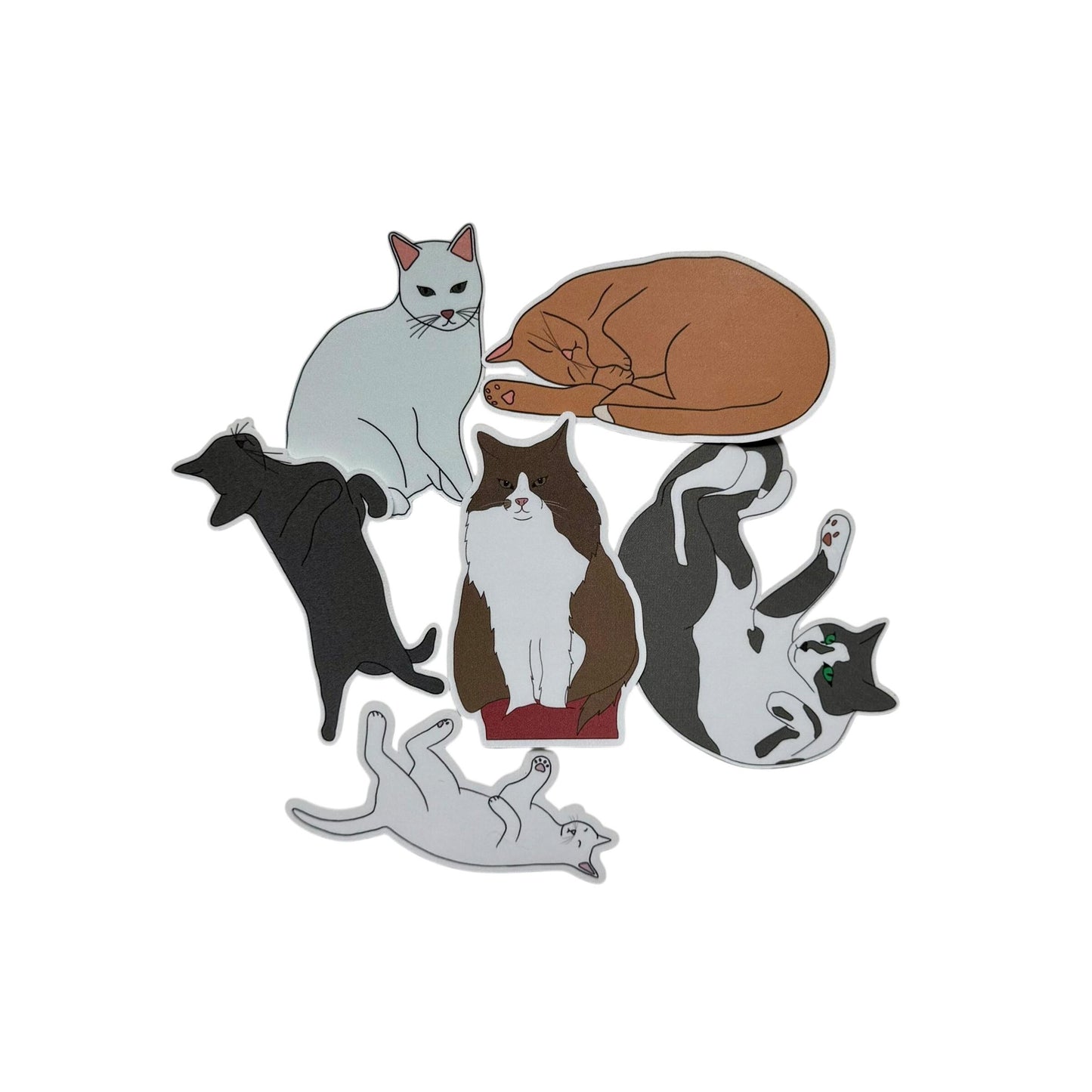 CUSTOM Cat Sticker!