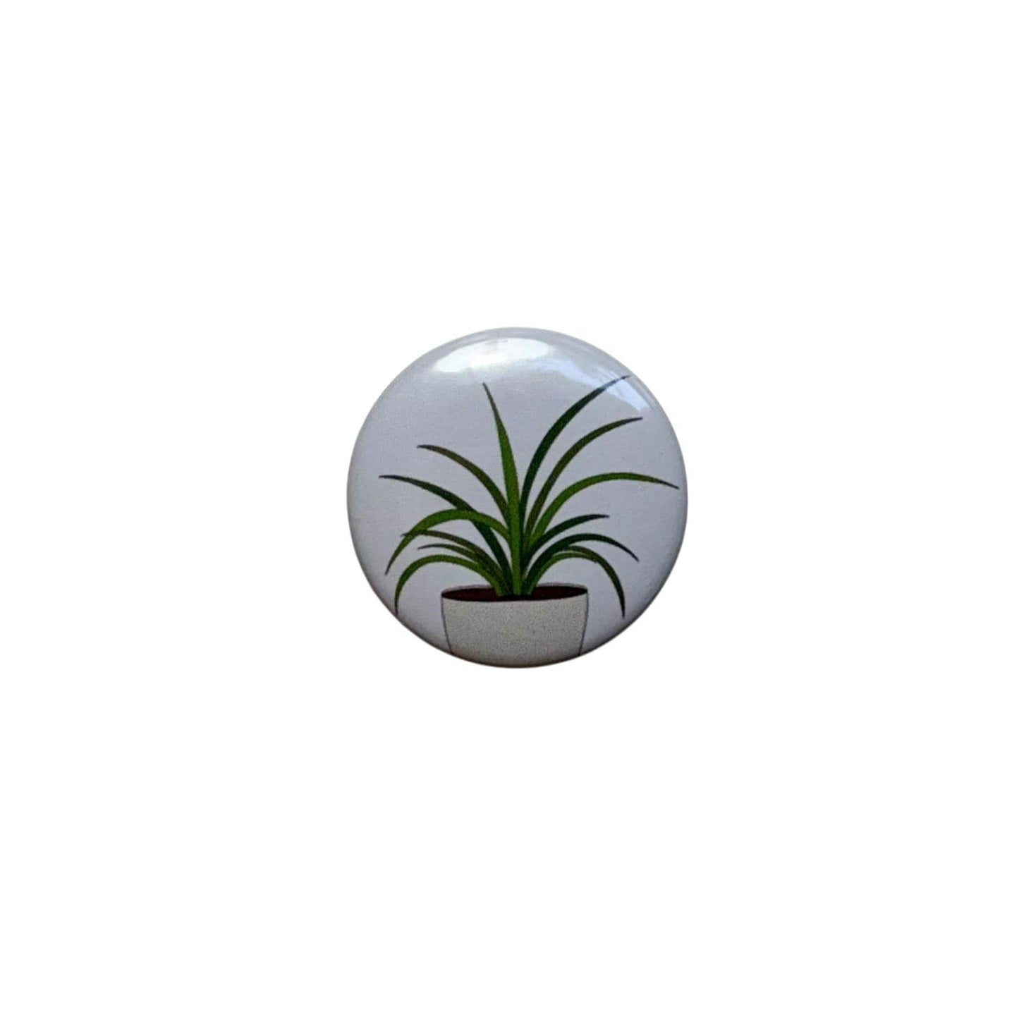 Plants / Buttons